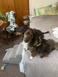 User picture 4